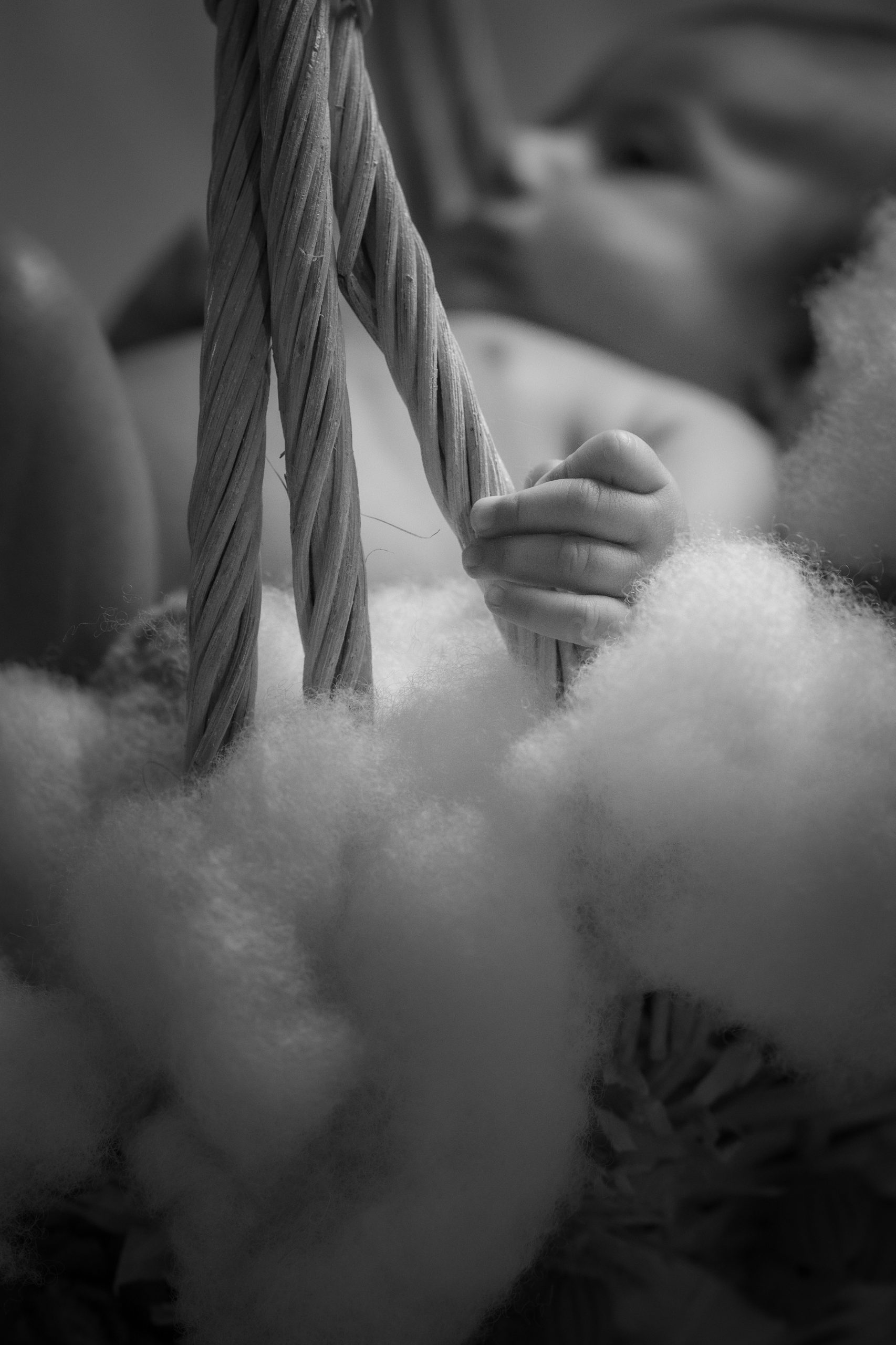 maternity photography