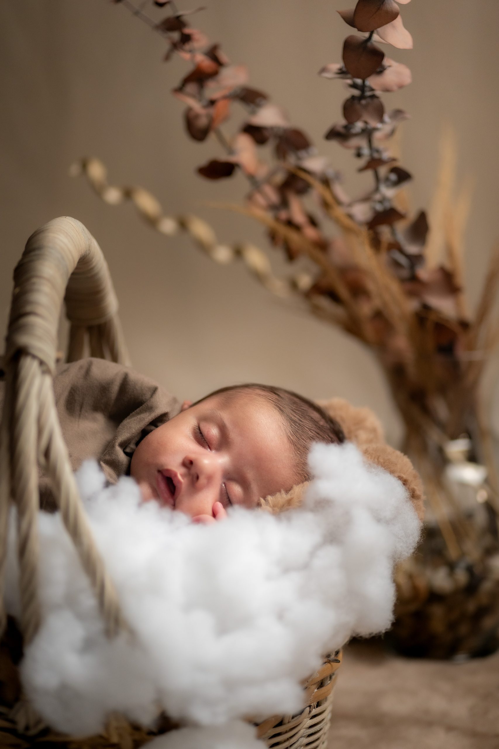 newborn shoot