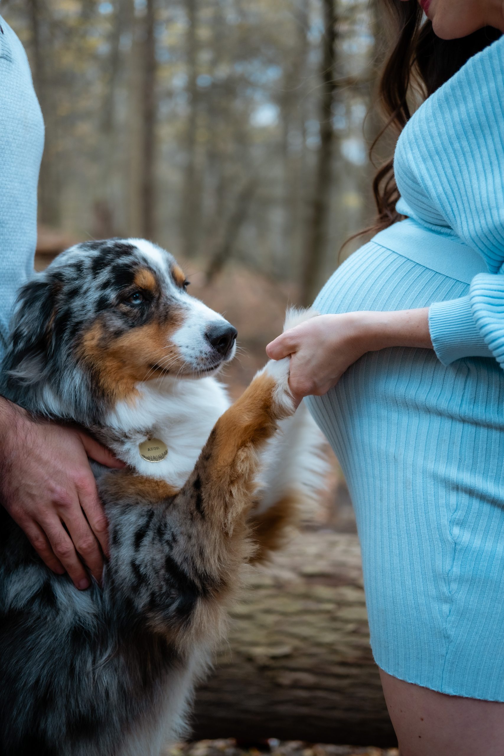 maternity photography